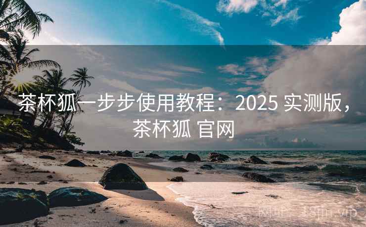 茶杯狐一步步使用教程：2025 实测版，茶杯狐 官网